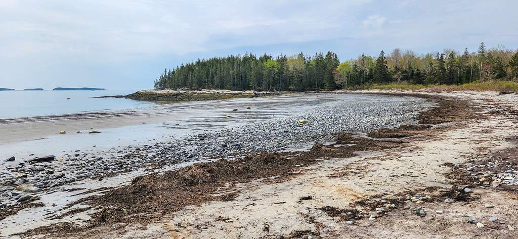 Maine Diaries - Birch Point State Park