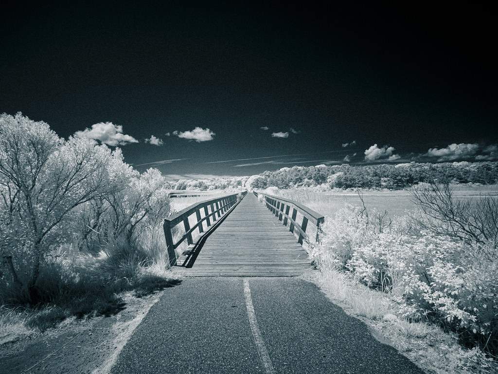 Cape Escape 2023 - Infrared