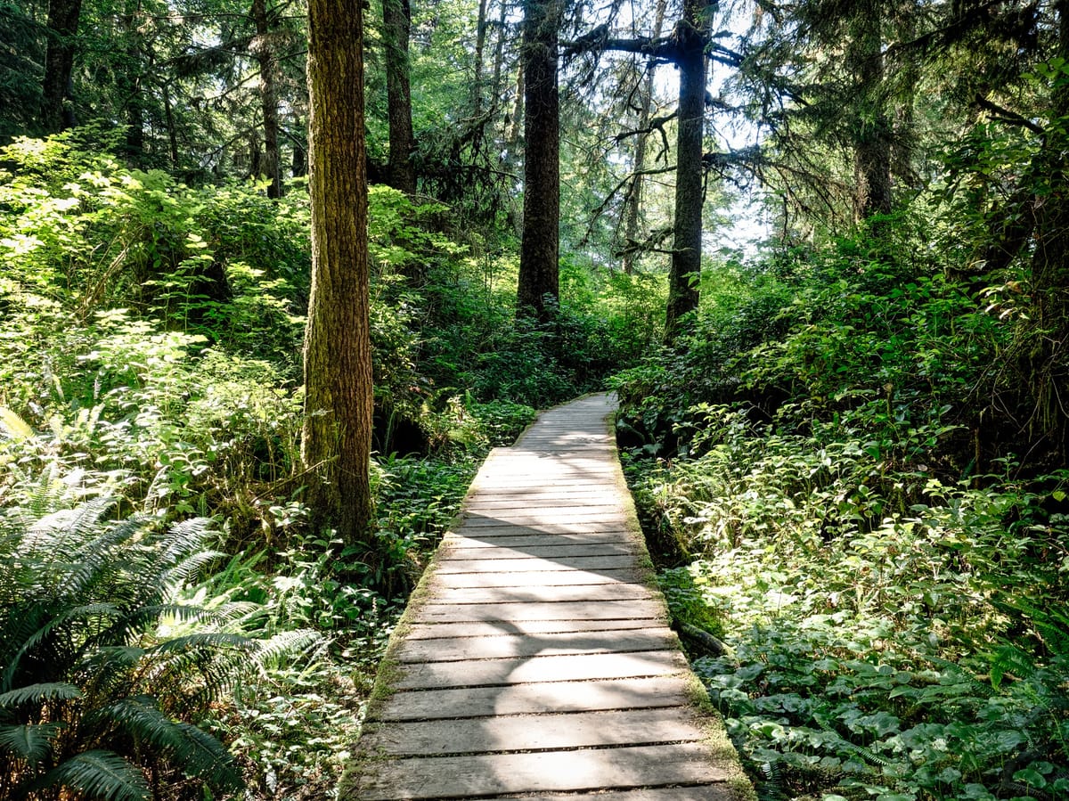 The Daily Picture Theme - #Long