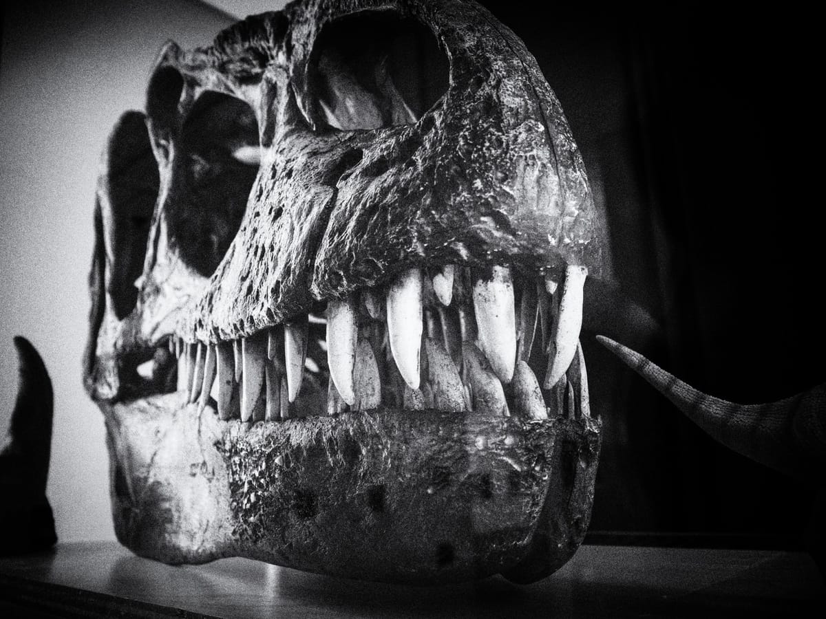 Daily Picture Theme - #Bones