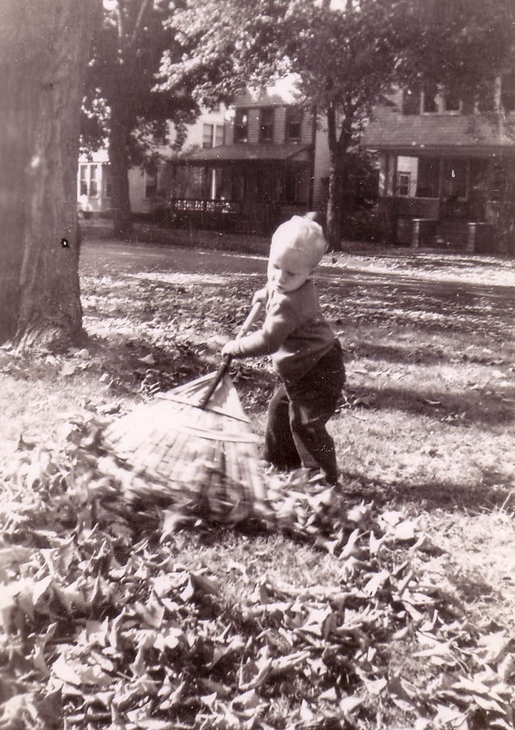 On This Day - Fall Cleanup