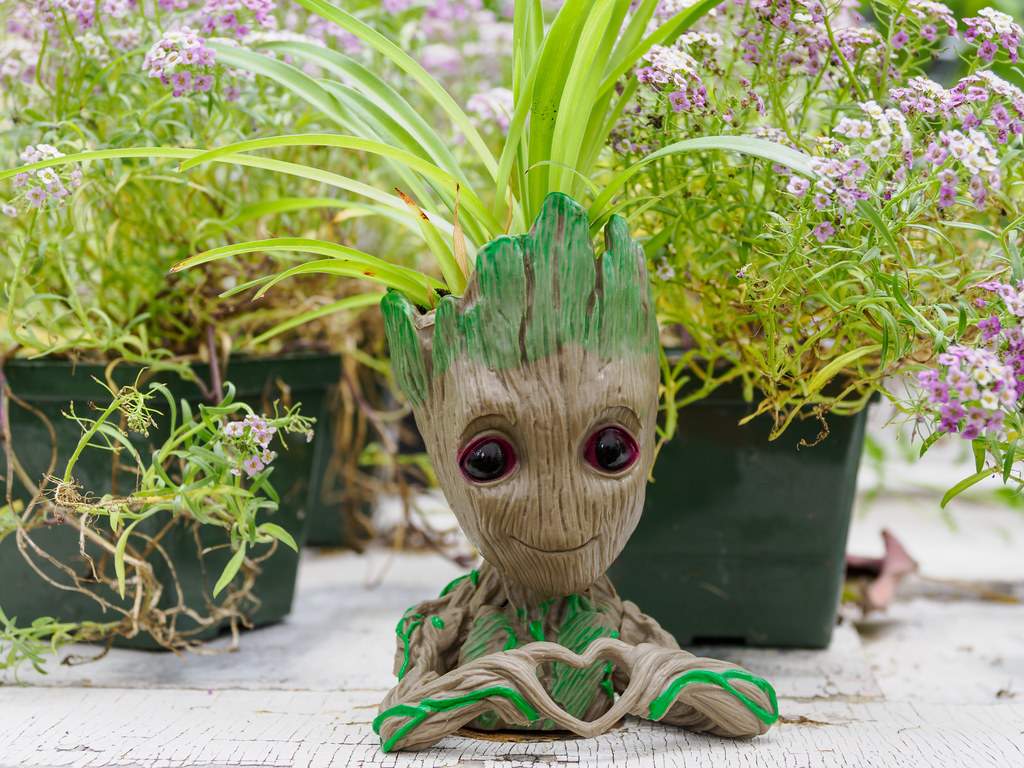 163rd Children's Fair - Plants