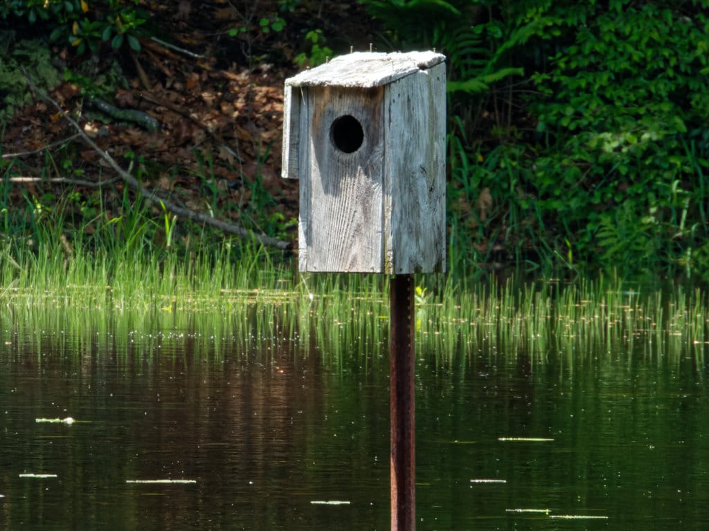 Birdhouses for Spring
