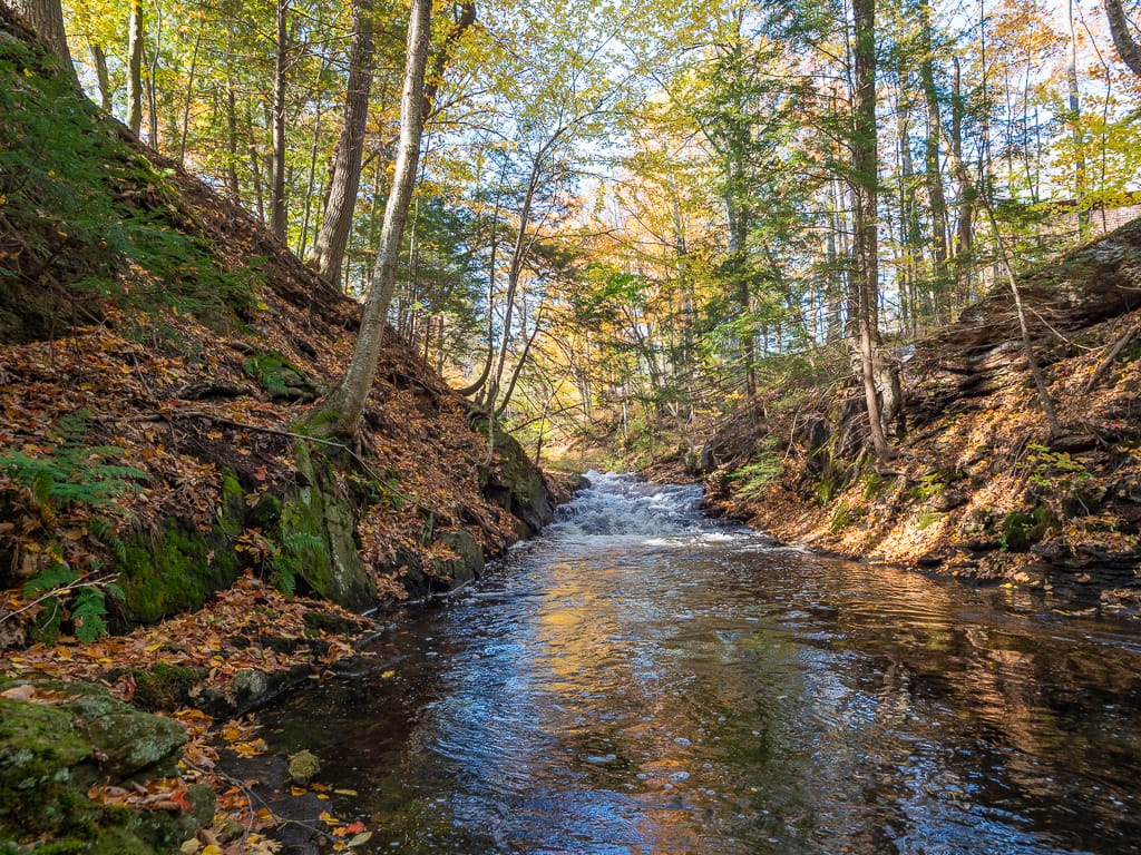 Exploring Remnants of Wheeler Mill