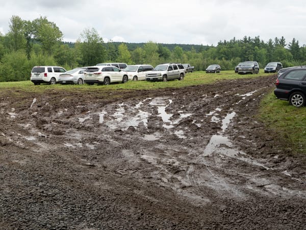 Daily Picture Theme - Mud