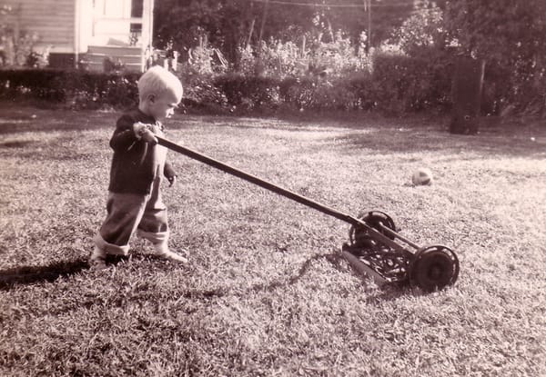 No Mow May 2023