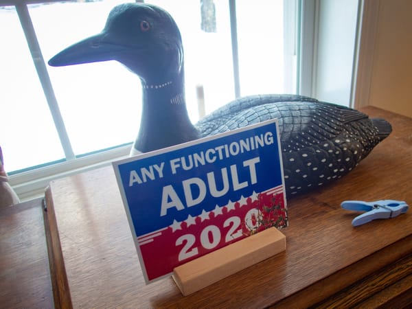 Any Functioning Adult - 2020