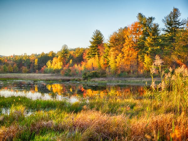 October Weekend