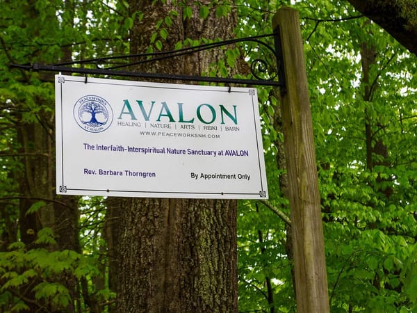 Avalon Healing Arts Tour
