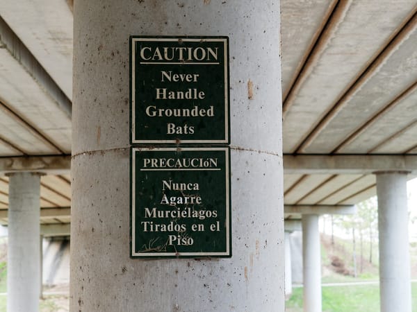 The Daily Picture Theme -  #Caution