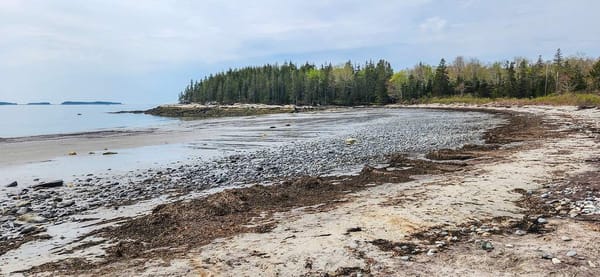 Maine Diaries - Birch Point State Park