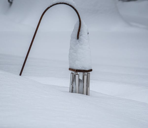 Winter Storm Ezekiel