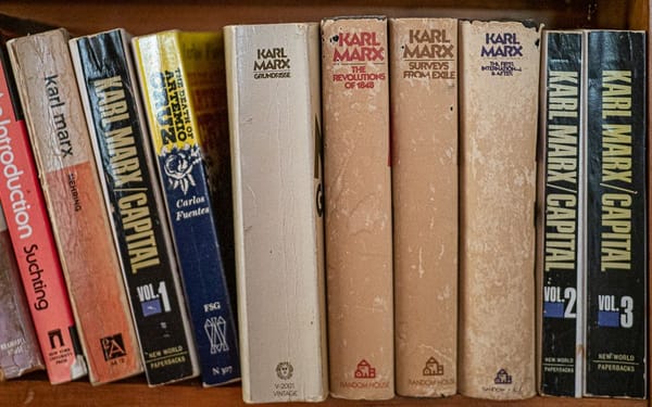 Top Shelf (a photo theme)
