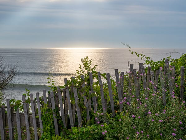 Cape Escape 2019