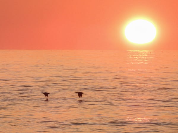 Daily Picture Theme - #Sun
