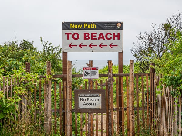 Cape Escape 2021