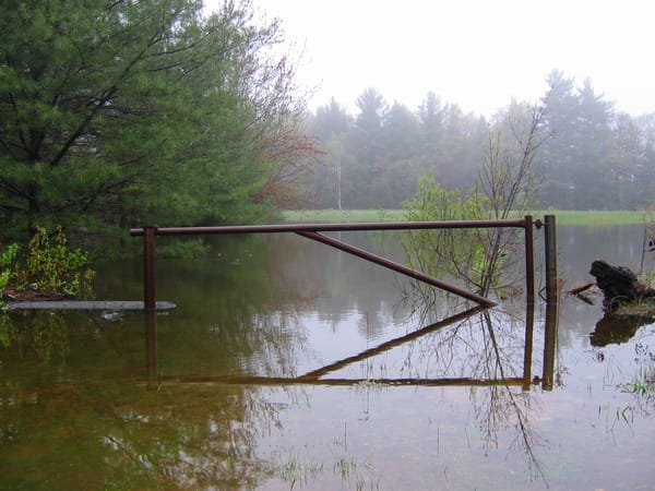 On This Day - Stormy Weather