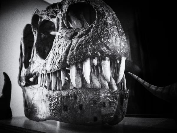 Daily Picture Theme - #Bones
