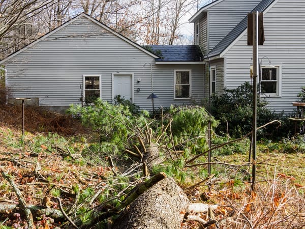 On This Day - Storm Damage