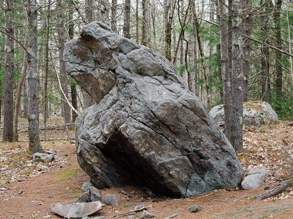 The Frog Rock