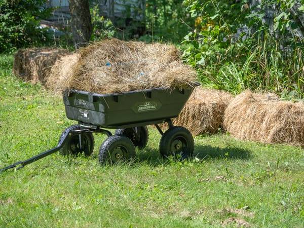 Planning a No-Till Garden
