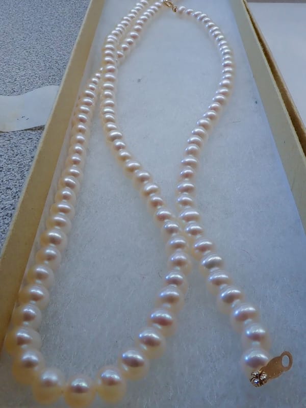 The Daily Picture Theme -  #Pearl