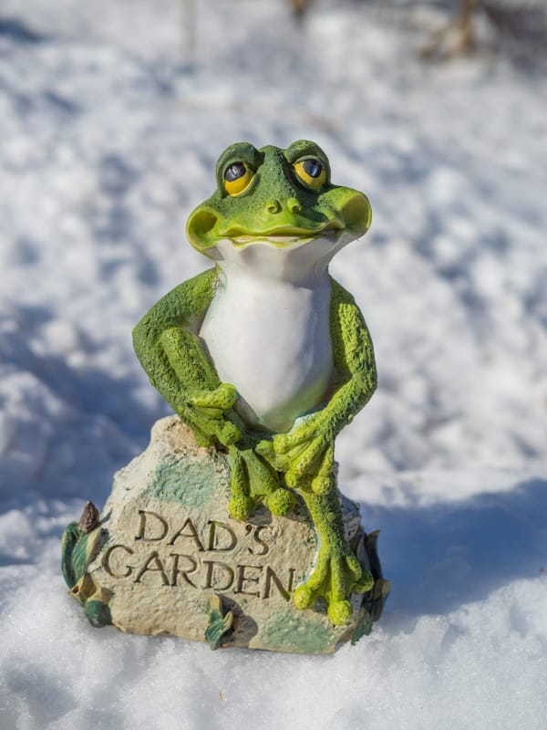 Green Center Frog Tchotchkes