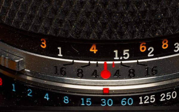 Daily Picture Theme - #Focus
