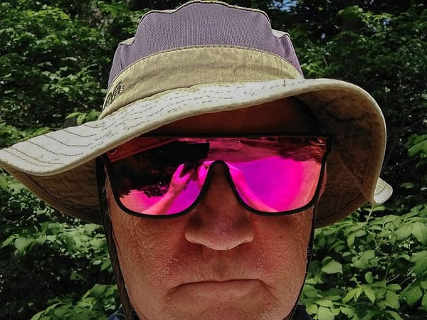 My Sunglasses Bite the Dust (Literally)