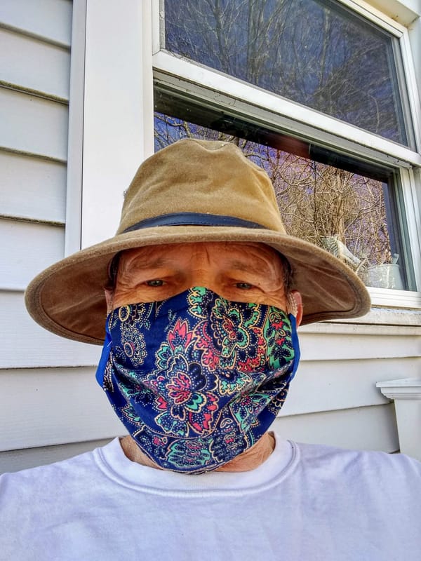 Pandemic Journal - Grocery Shopping With Masks