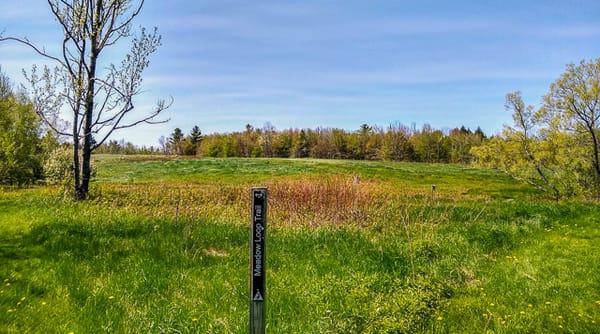 Mass Audubon's Lake Wampanoag Wildlife Sanctuary