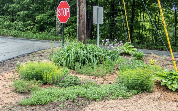 Roadside Garden