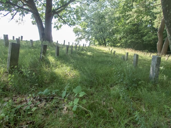 Goffstown Rail Trail