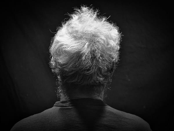Daily Picture Theme - #Back