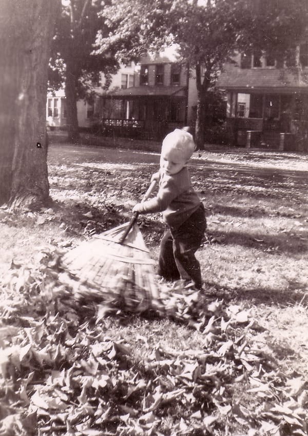 On This Day - Fall Cleanup