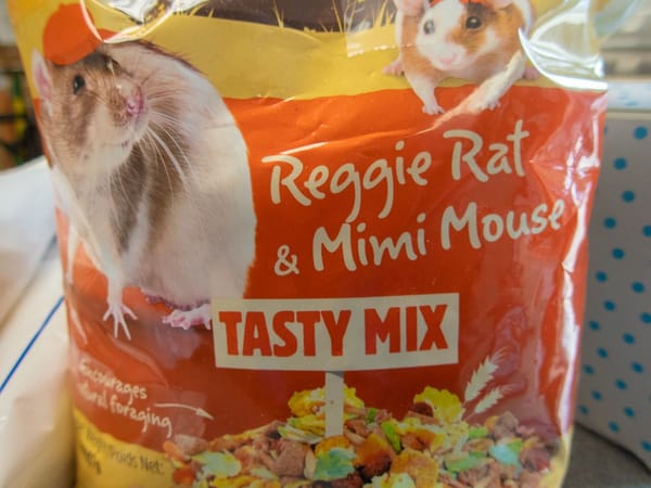 Mouse Mischief