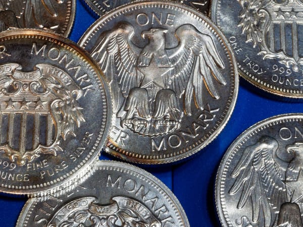 The Daily Picture Theme -  #Silver