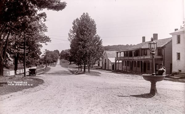 Glass Plate Negatives