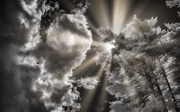 Pandemic Journal - Covid Dreams
