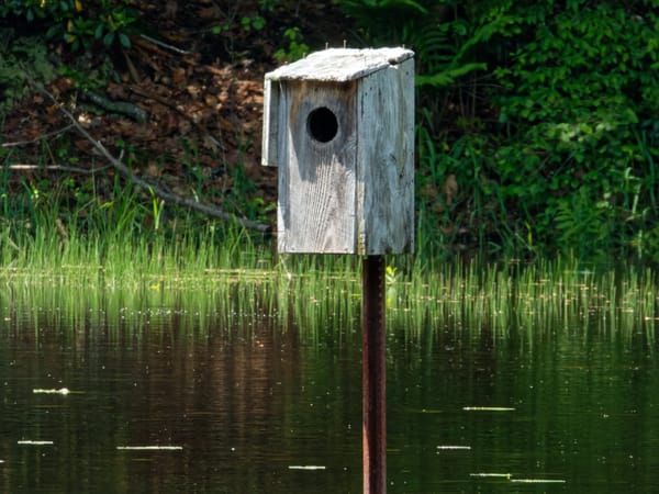 Birdhouses for Spring