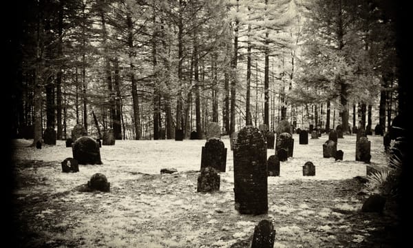 On This Day - Vale End Cemetery