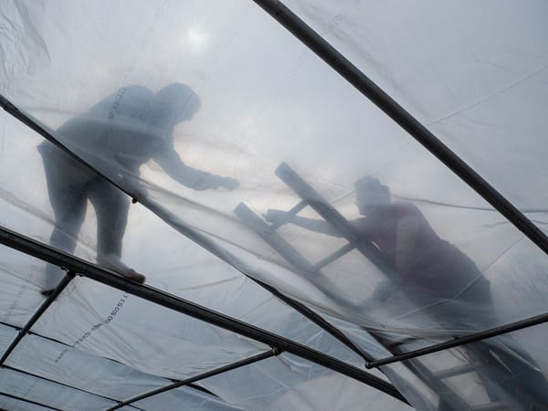 Wrapping a Greenhouse
